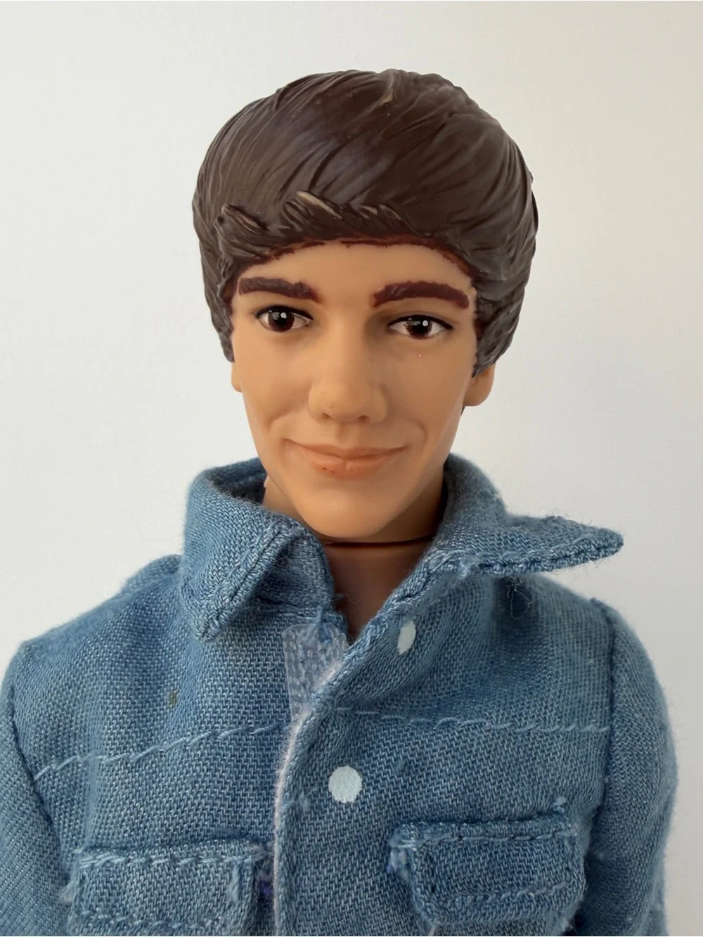 One Direction Liam Payne‎ Hasbro 2011 2012 Collector Doll 1D